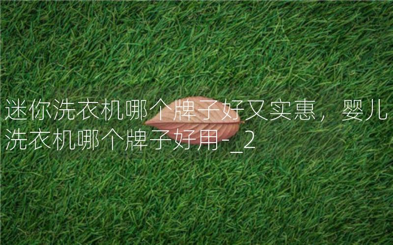 迷你洗衣机哪个牌子好又实惠，婴儿洗衣机哪个牌子好用-_2