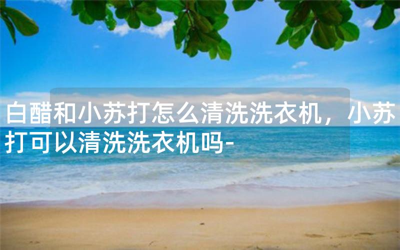 白醋和小苏打怎么清洗洗衣机，小苏打可以清洗洗衣机吗-