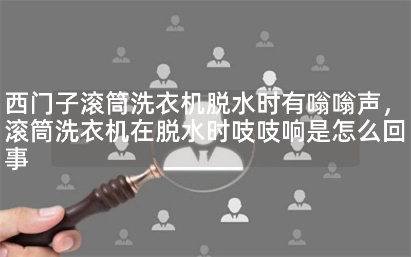 西门子滚筒洗衣机脱水时有嗡嗡声，滚筒洗衣机在脱水时吱吱响是怎么回事