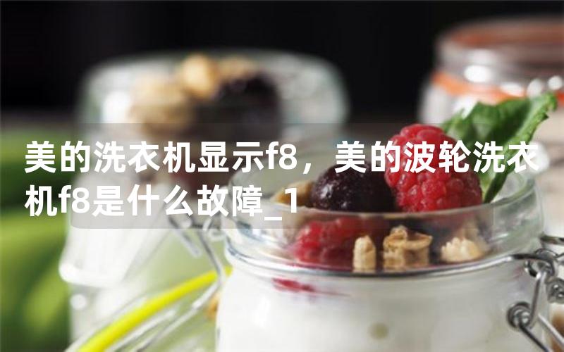 洗衣机显示f8，波轮洗衣机f8是什么故障_1