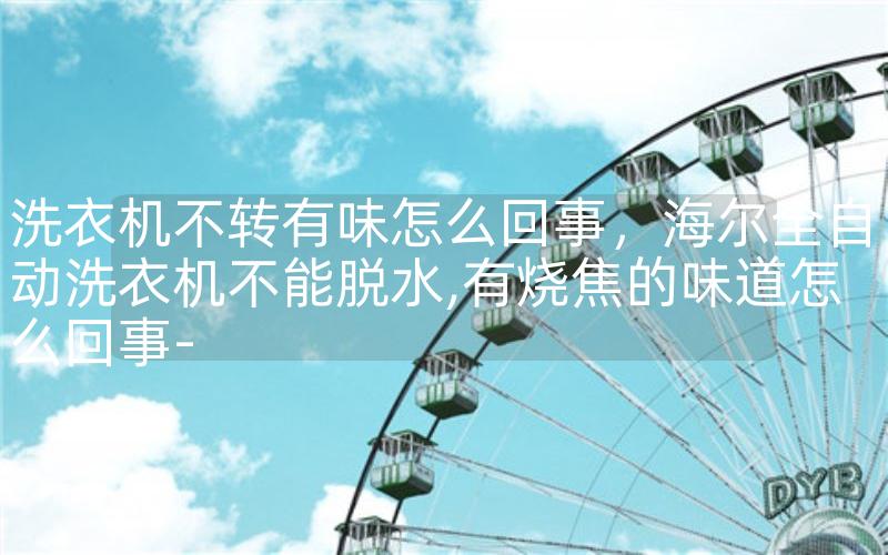 洗衣机不转有味怎么回事，全自动洗衣机不能脱水,有烧焦的味道怎么回事-