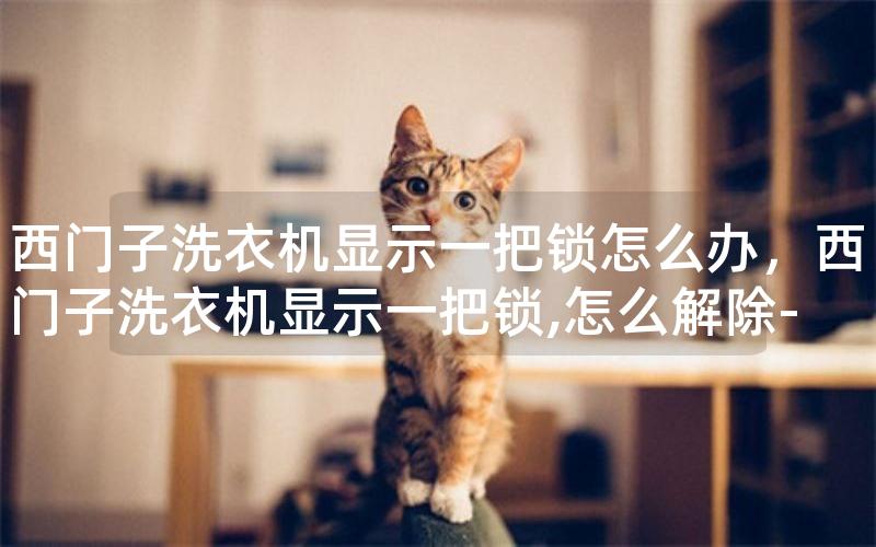 西门子洗衣机显示一把锁怎么办，西门子洗衣机显示一把锁,怎么解除-