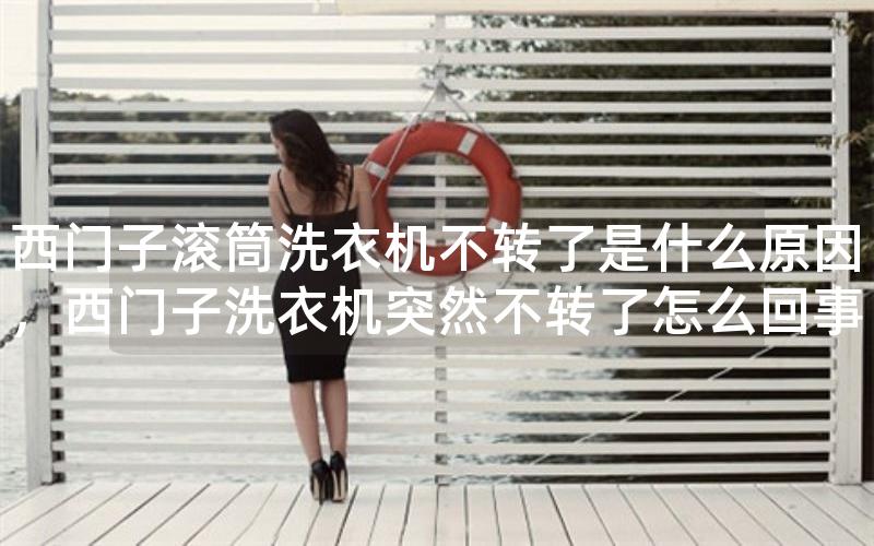 西门子滚筒洗衣机不转了是什么原因，西门子洗衣机突然不转了怎么回事