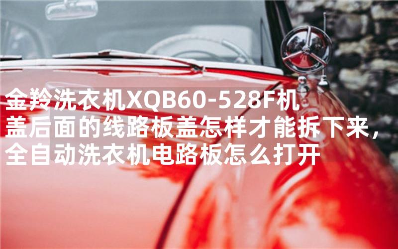 金羚洗衣机XQB60-528F机盖后面的线路板盖怎样才能拆下来，全自动洗衣机电路板怎么打开
