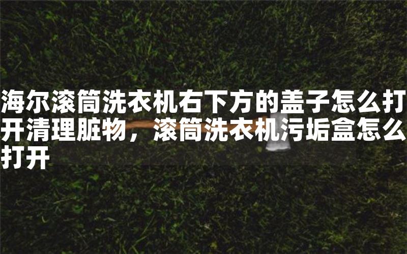 海尔滚筒洗衣机右下方的盖子怎么打开清理脏物，滚筒洗衣机污垢盒怎么打开