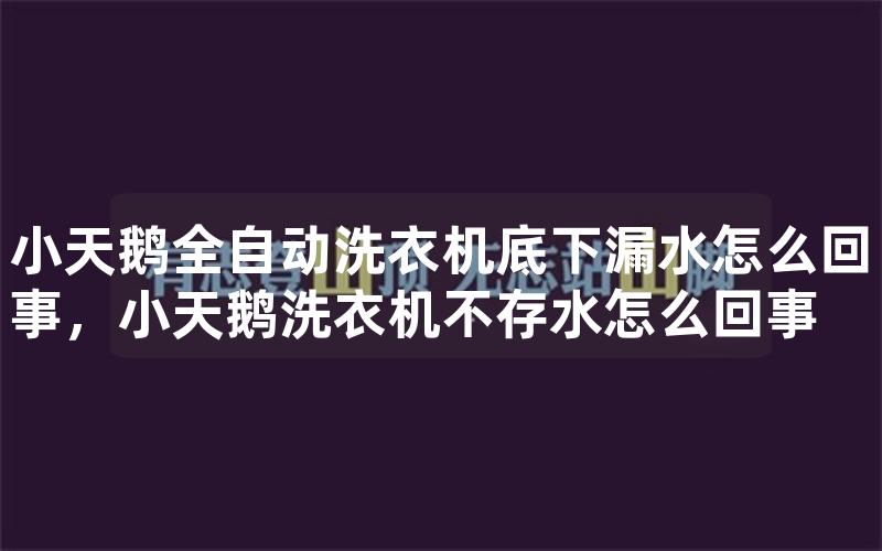 小天鹅全自动洗衣机底下漏水怎么回事，小天鹅洗衣机不存水怎么回事