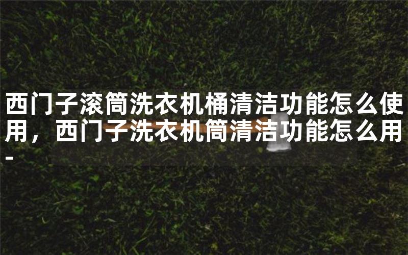 西门子滚筒洗衣机桶清洁功能怎么使用，西门子洗衣机筒清洁功能怎么用-