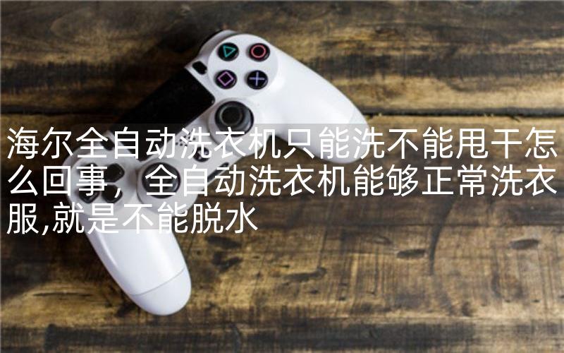 全自动洗衣机只能洗不能甩干怎么回事，全自动洗衣机能够正常洗衣服,就是不能脱水