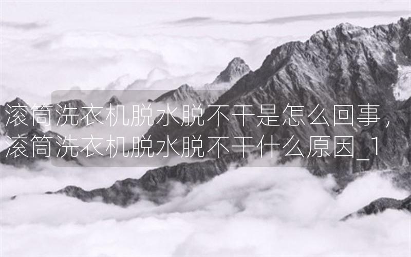 滚筒洗衣机脱水脱不干是怎么回事，滚筒洗衣机脱水脱不干什么原因_1