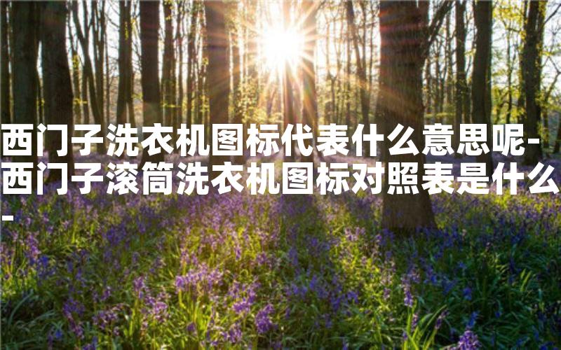 西门子洗衣机图标代表什么意思呢-西门子滚筒洗衣机图标对照表是什么-