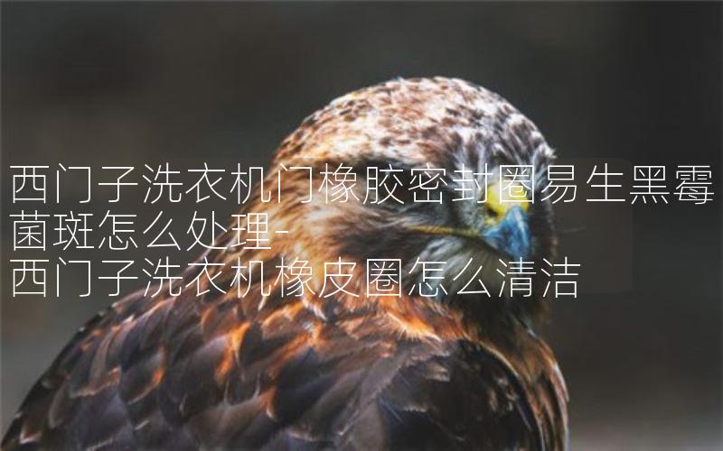 西门子洗衣机门橡胶密封圈易生黑霉菌斑怎么处理-西门子洗衣机橡皮圈怎么清洁