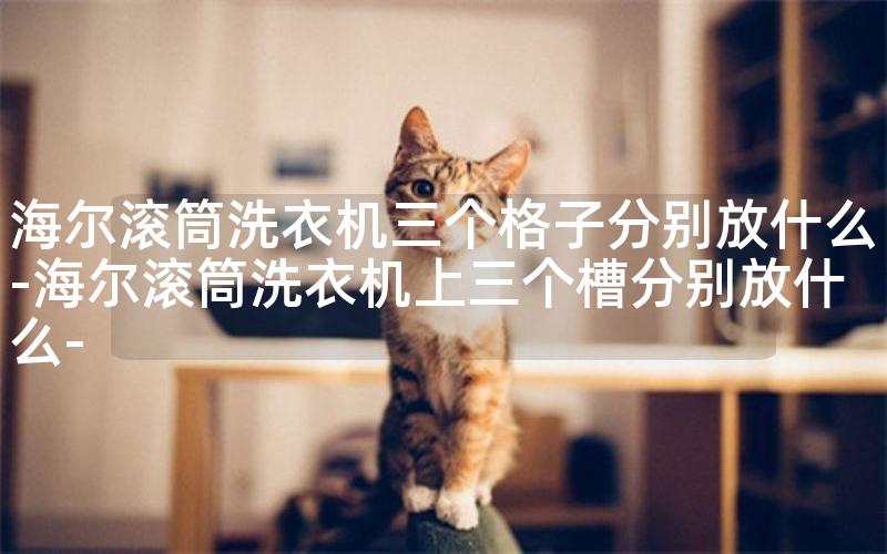 海尔滚筒洗衣机三个格子分别放什么-海尔滚筒洗衣机上三个槽分别放什么- 海尔滚筒洗衣机三个格子分别放什么-海尔滚筒洗衣机上三个槽分别放什么-