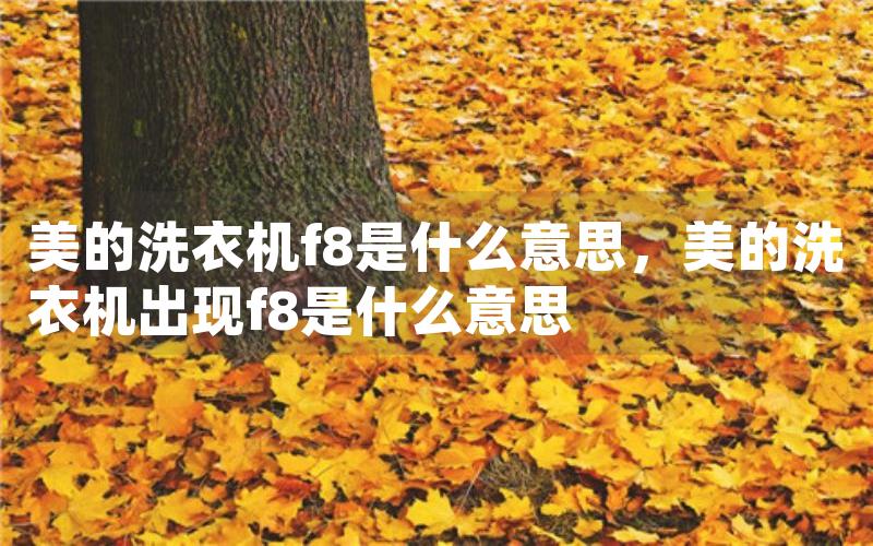 美的洗衣机f8是什么意思，美的洗衣机出现f8是什么意思