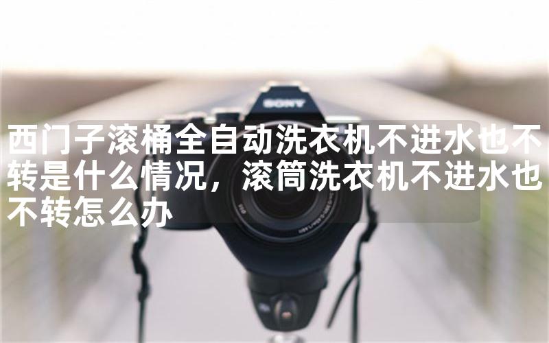 西门子滚桶全自动洗衣机不进水也不转是什么情况，滚筒洗衣机不进水也不转怎么办