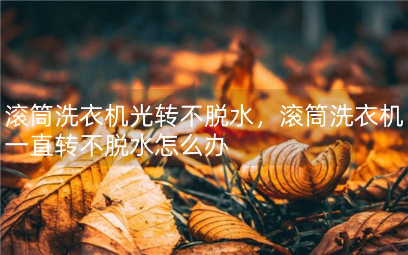 滚筒洗衣机光转不脱水，滚筒洗衣机一直转不脱水怎么办