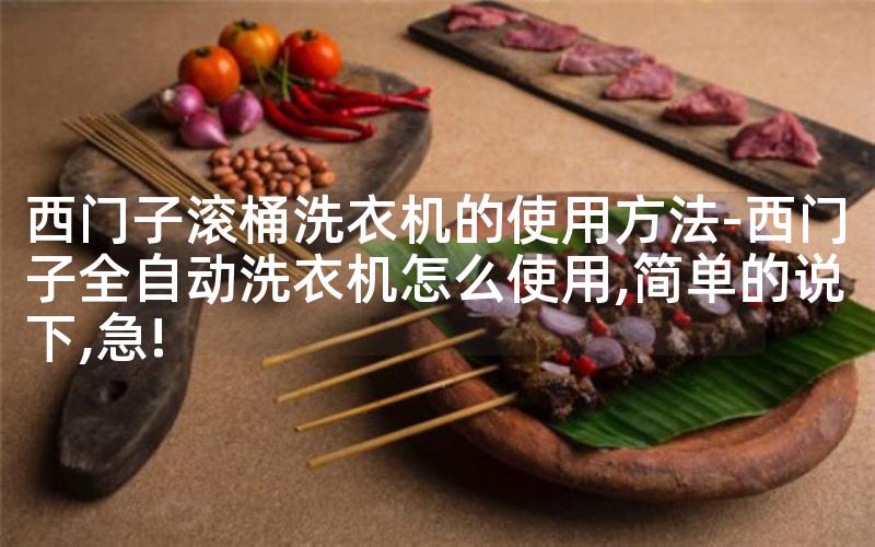 西门子滚桶洗衣机的使用方法-西门子全自动洗衣机怎么使用,简单的说下,急!