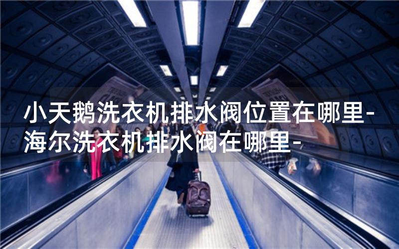 小天鹅洗衣机排水阀位置在哪里-海尔洗衣机排水阀在哪里-