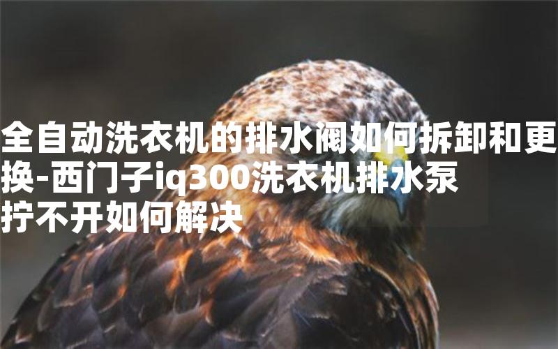 全自动洗衣机的排水阀如何拆卸和更换-西门子iq300洗衣机排水泵拧不开如何解决