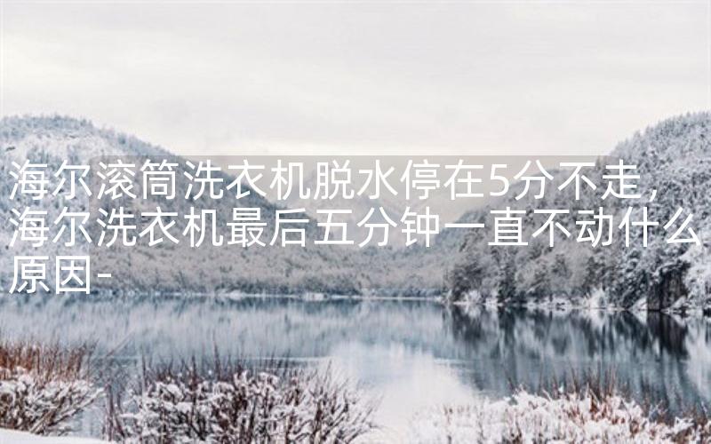 海尔滚筒洗衣机脱水停在5分不走，海尔洗衣机最后五分钟一直不动什么原因-
