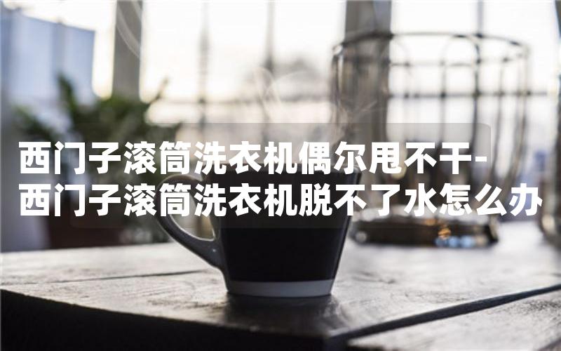 西门子滚筒洗衣机偶尔甩不干-西门子滚筒洗衣机脱不了水怎么办