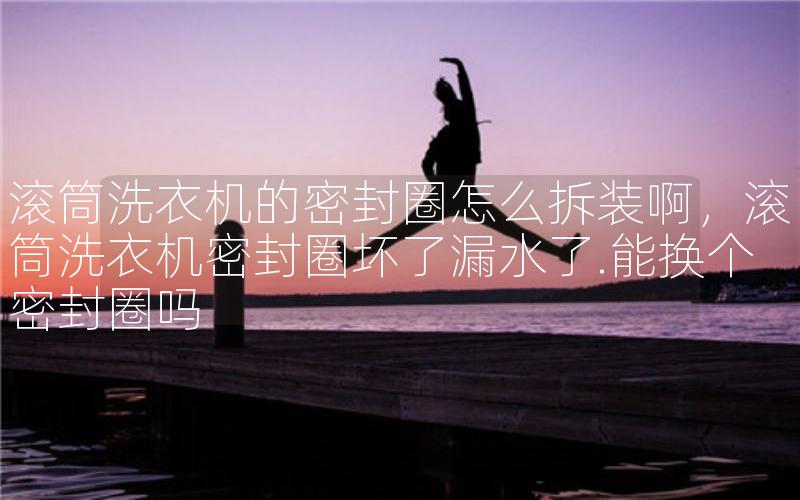 滚筒洗衣机的密封圈怎么拆装啊，滚筒洗衣机密封圈坏了漏水了.能换个密封圈吗