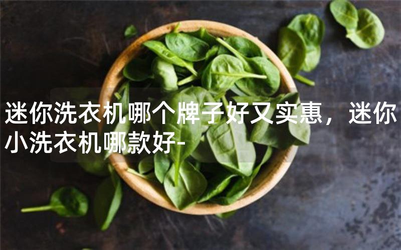 迷你洗衣机哪个牌子好又实惠,迷你小洗衣机哪款好- 迷你洗衣机哪个牌子好又实惠,迷你小洗衣机哪款好-
