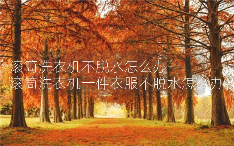 滚筒洗衣机不脱水怎么办-滚筒洗衣机一件衣服不脱水怎么办