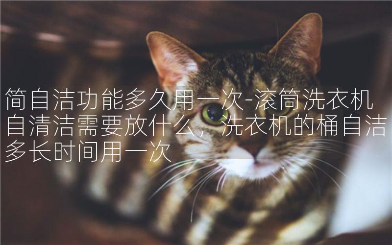简自洁功能多久用一次-滚筒洗衣机自清洁需要放什么，洗衣机的桶自洁多长时间用一次