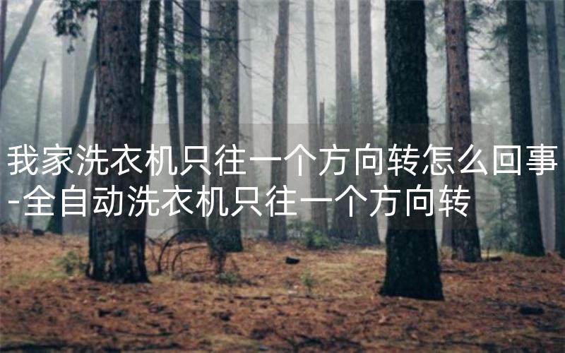 我家洗衣机只往一个方向转怎么回事-全自动洗衣机只往一个方向转