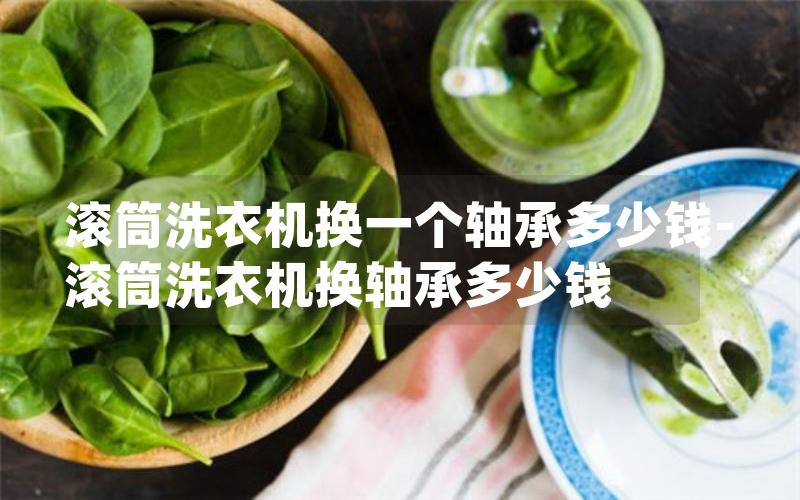 滚筒洗衣机换一个轴承多少钱-滚筒洗衣机换轴承多少钱