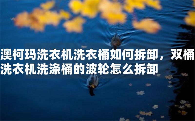 澳柯玛洗衣机洗衣桶如何拆卸，双桶洗衣机洗涤桶的波轮怎么拆卸