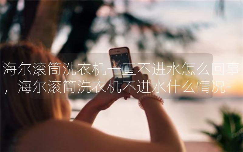 海尔滚筒洗衣机一直不进水怎么回事，海尔滚筒洗衣机不进水什么情况-