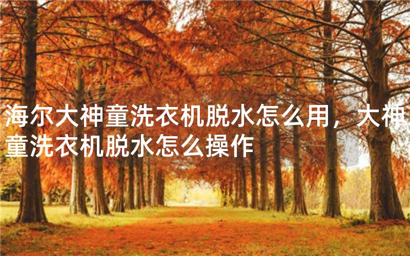 海尔大神童洗衣机脱水怎么用，大神童洗衣机脱水怎么操作