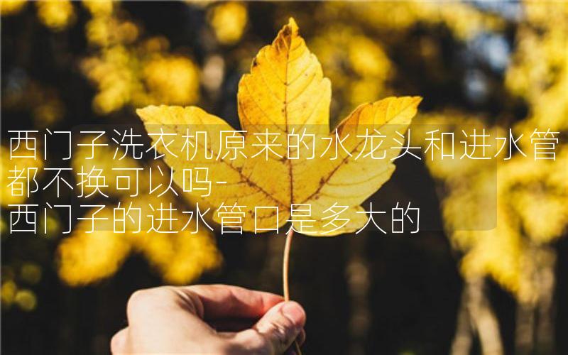 西门子洗衣机原来的水龙头和进水管都不换可以吗-西门子的进水管口是多大的