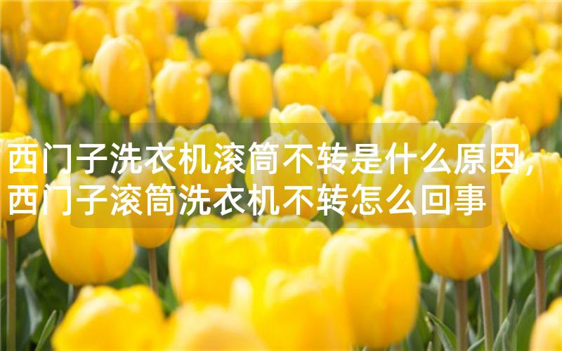 西门子洗衣机滚筒不转是什么原因，西门子滚筒洗衣机不转怎么回事