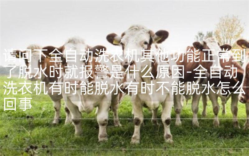 请问下全自动洗衣机其他功能正常到了脱水时就报警是什么原因-全自动洗衣机有时能脱水有时不能脱水怎么回事