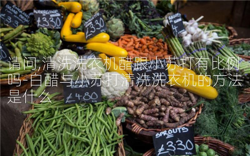 请问,清洗洗衣机醋跟小苏打有比例吗-白醋与小苏打清洗洗衣机的方法是什么